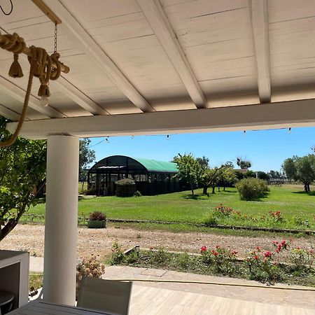 Villa Olga Tarquinia Exteriör bild