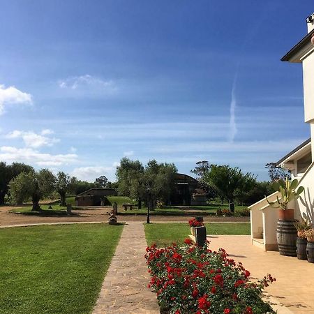 Villa Olga Tarquinia Exteriör bild