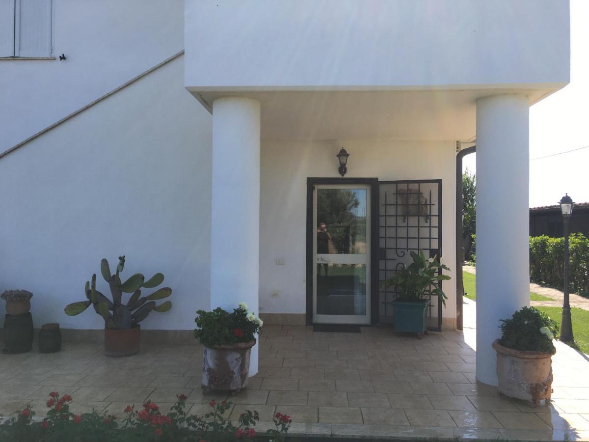 Villa Olga Tarquinia Exteriör bild