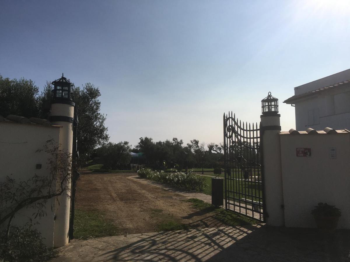 Villa Olga Tarquinia Exteriör bild