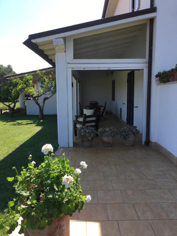 Villa Olga Tarquinia Exteriör bild