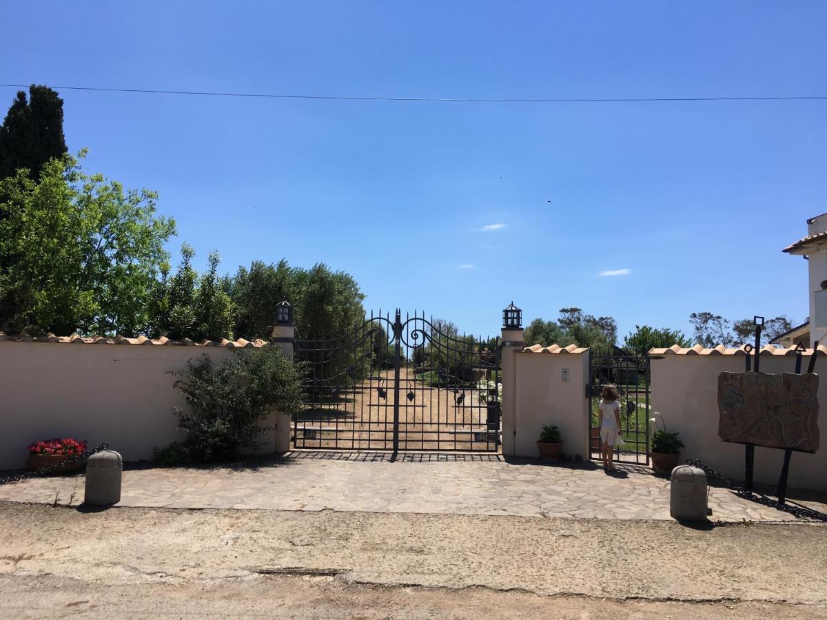 Villa Olga Tarquinia Exteriör bild