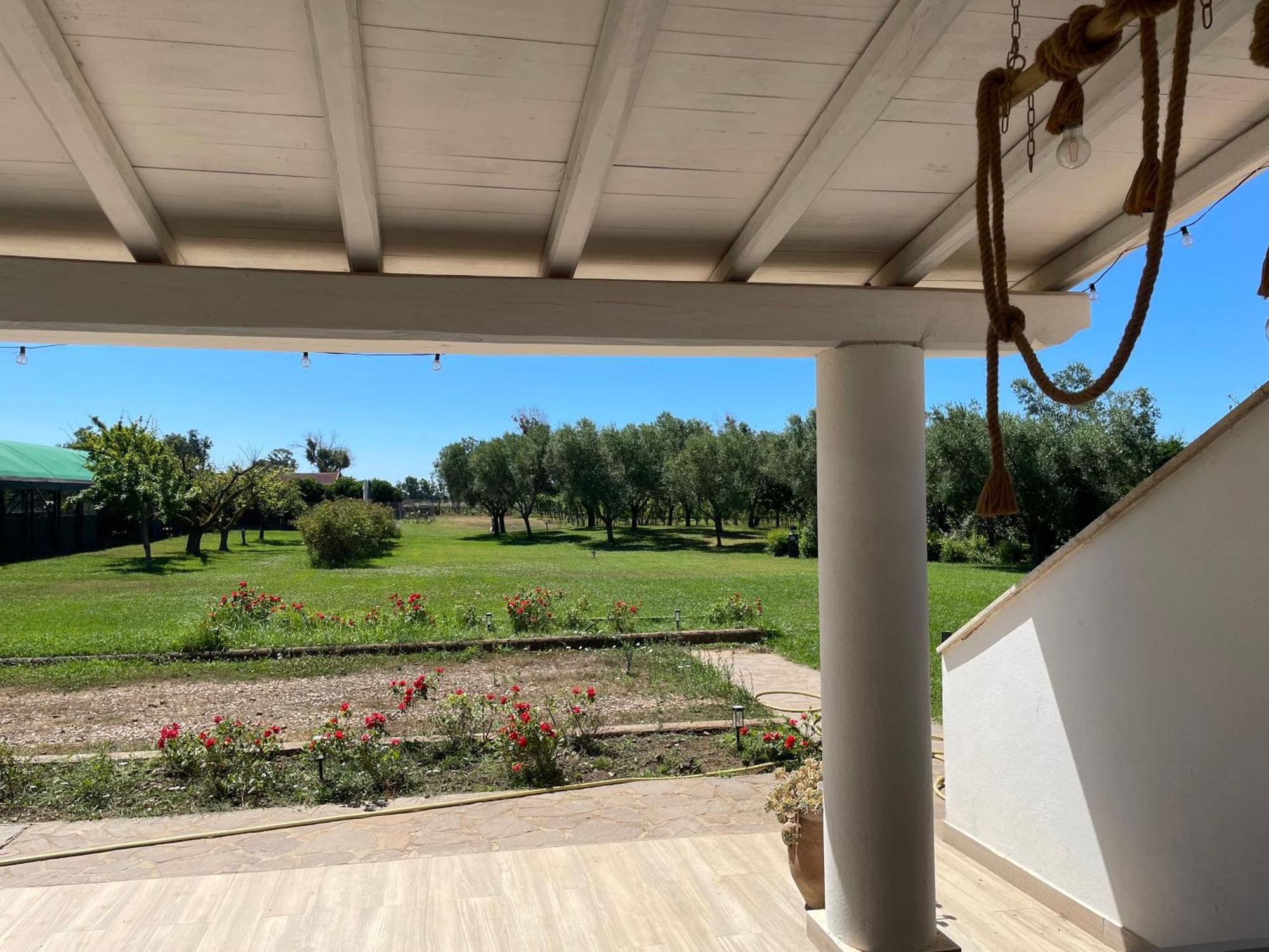 Villa Olga Tarquinia Exteriör bild